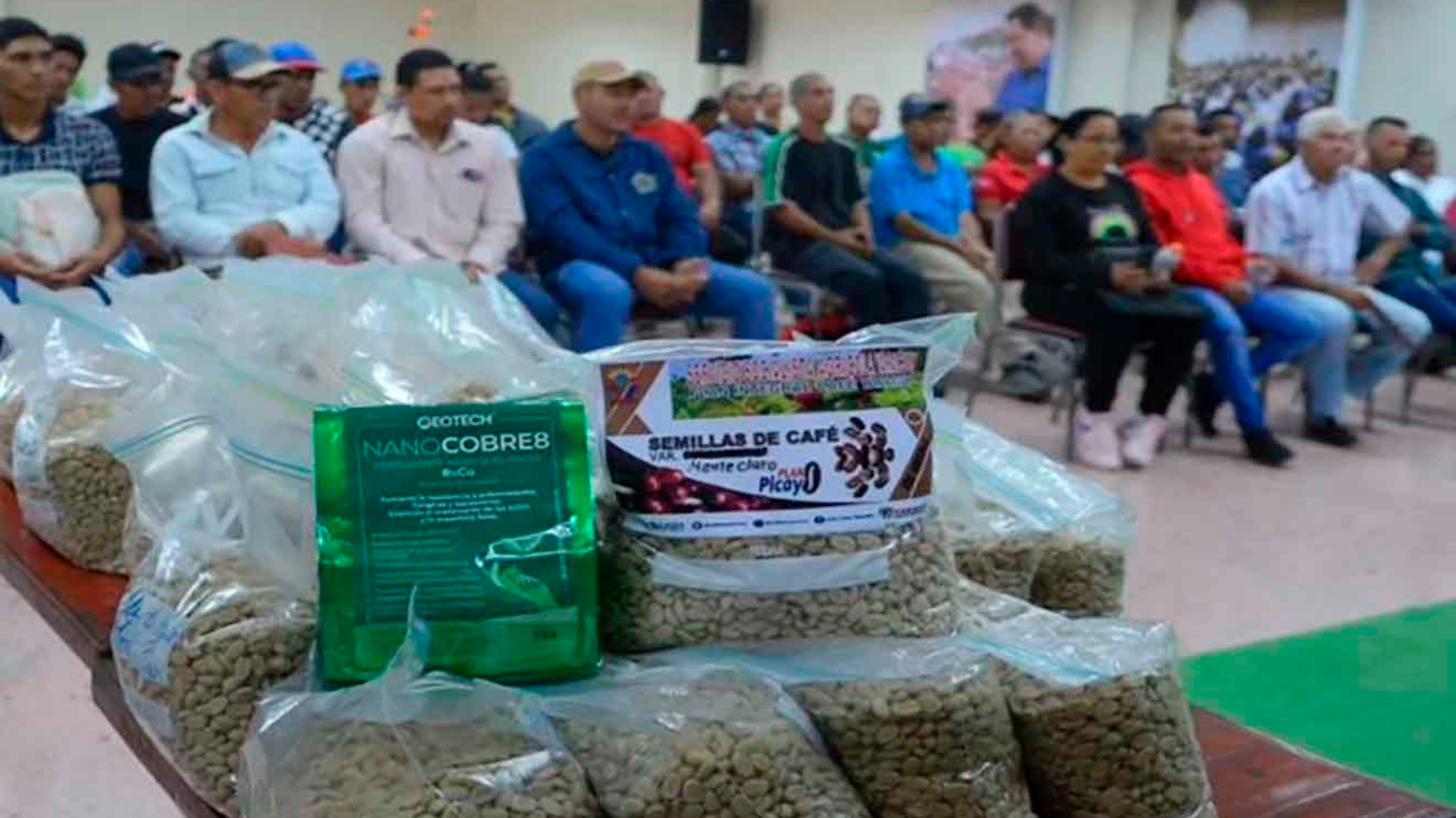caficultores