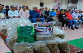 Vicepresidenta Delcy Rodríguez lidera encuentro con caficultores del país