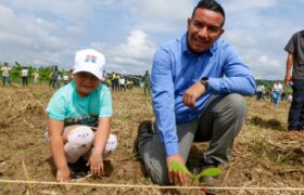 Más de 10 mil árboles establecidos en el Fuerte Tavacare del estado Barinas