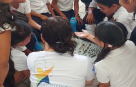 Avanza Plan de Masificación de «Semilleros Científicos» en el estado Nueva Esparta