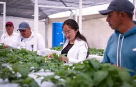 Alianza Científico-Campesina contribuye a la recuperación de la producción alimentaria en Venezuela