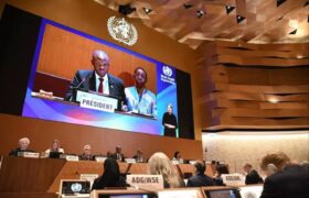 Palestina ocupa por primera vez un puesto como miembro de pleno derecho en un acto de la OMS