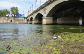 «Sin plan B»: Escándalo por el agua sucia del Sena durante JJOO provoca críticas