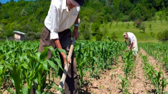 Agricultura