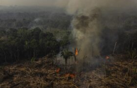 Humo de incendios forestales en la Amazonía afecta a varios países de Suramérica