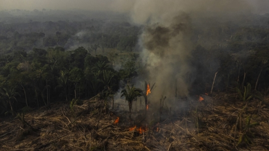 BRASIL-AMAZONIA