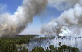 Los incendios en Brasil disparan las emisiones de carbono a cifras récord