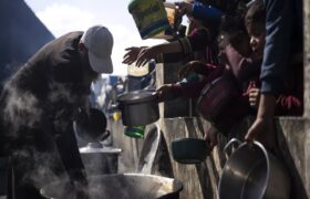 «La situación es más que catastrófica»: Israel bloquea más del 80% de alimentos destinados a Gaza