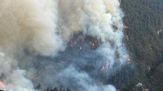 Incendios