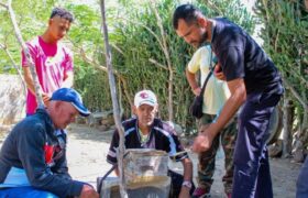 Científicos venezolanos analizan características de la miel producida en Lara