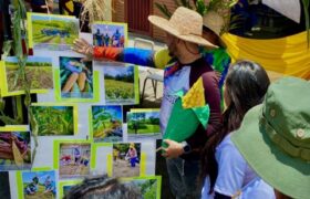 Primera Feria del Maíz 2024 es inaugurada en el estado Miranda