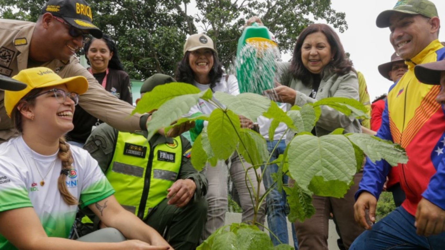 Plan-de-Arborización-en-Caracas-comienza-2