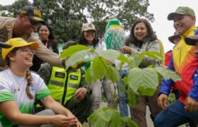 Plan de arborización en Caracas inicia con el establecimiento de 300 árboles en la Cota Mil