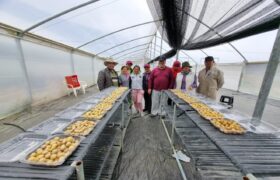 En Mérida destacan rendimiento agrícola por Productores Integrales del Páramo