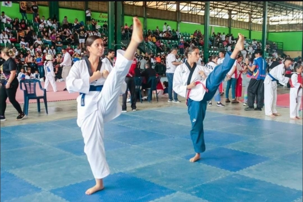 Taekwondo