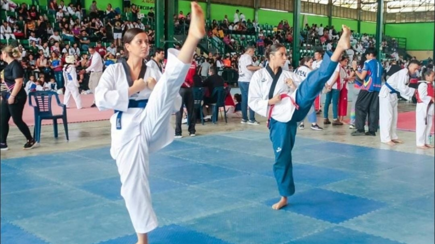 Taekwondo
