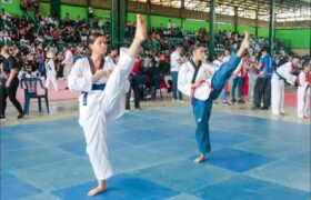 El Taekwondo venezolano celebrará sus 40 años