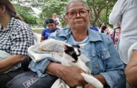 Atendidos animales domésticos en Aragua en jornada de Misión Nevado
