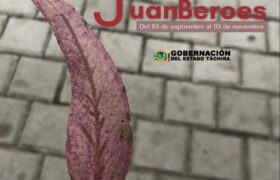 La gobernación del Táchira convoca a la VI Bienal Internacional de Poesía Juan Beroes