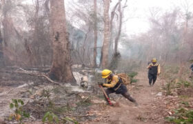 Fuerza de Tarea Humanitaria sigue labores de sofocación de los incendios en Bolivia