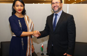 Venezuela y Madagascar avanzan en la construcción de relaciones de cooperación