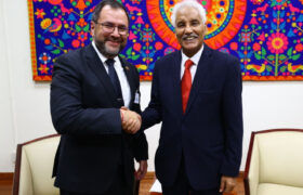 Venezuela y Saharaui refuerzan en ONU compromiso por un mundo más pacífico