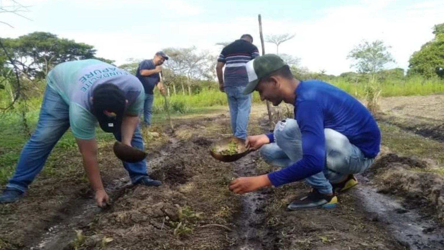 Apure