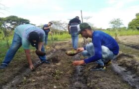 Fundacite impulsa en Apure la producción hortícola junto a las Redes Socialistas de Innovación Productiva