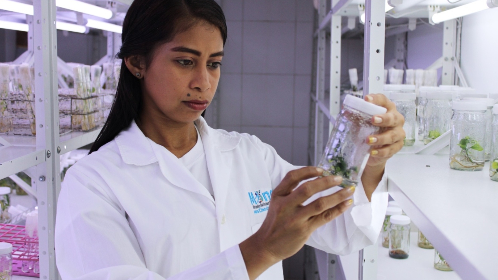 Bioinsumos