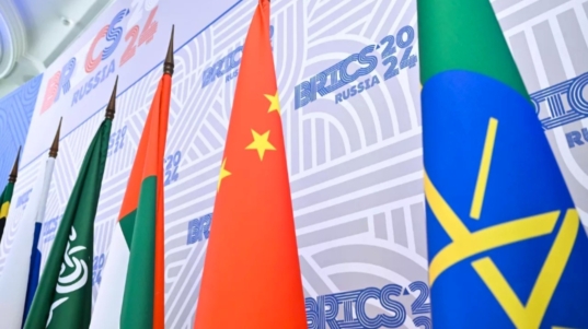 Brics (8)