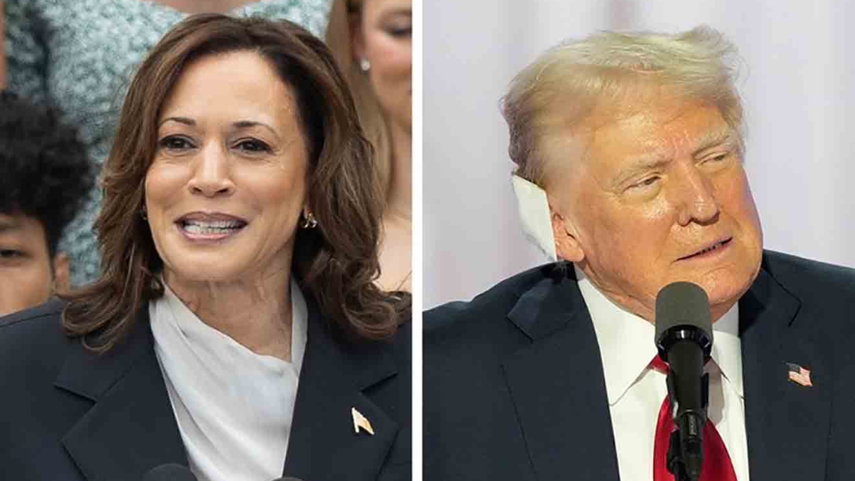 Elecciones en Estados Unidos