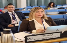 Venezuela en la FAO: El agua tiene una relación directa con la seguridad alimentaria
