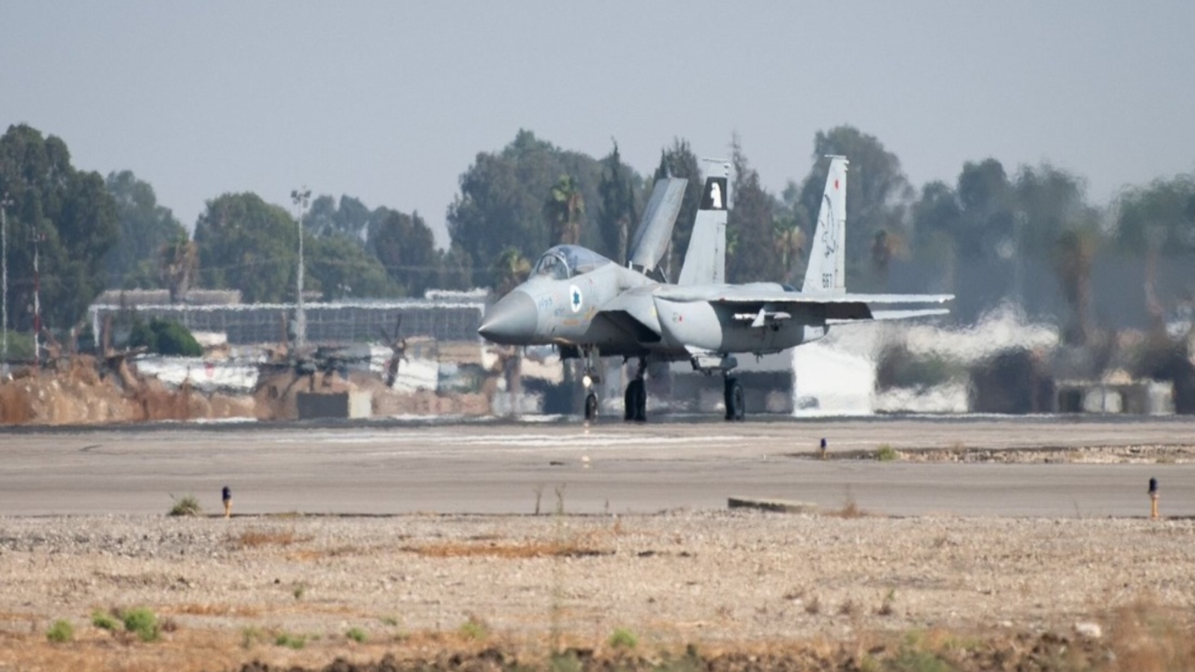 IDF Israel (1)