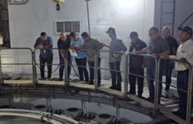 Ministro Márquez supervisa labores en instalaciones eléctricas de Bolívar