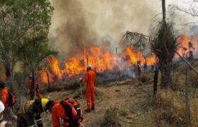 Incendios arrasan 7 millones de hectáreas de bosques y pastizales en Bolivia