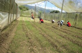 Reactivan Fundo Zamorano José Rafael Revenga en Aragua