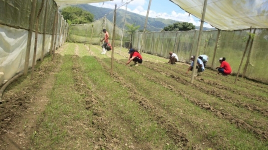 Reactivan-Fundo-Zamorano-Jose-Rafael-Revenga-en-Aragua