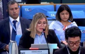 Venezuela participa en 52° Comité de Seguridad Alimentaria Mundial en Roma