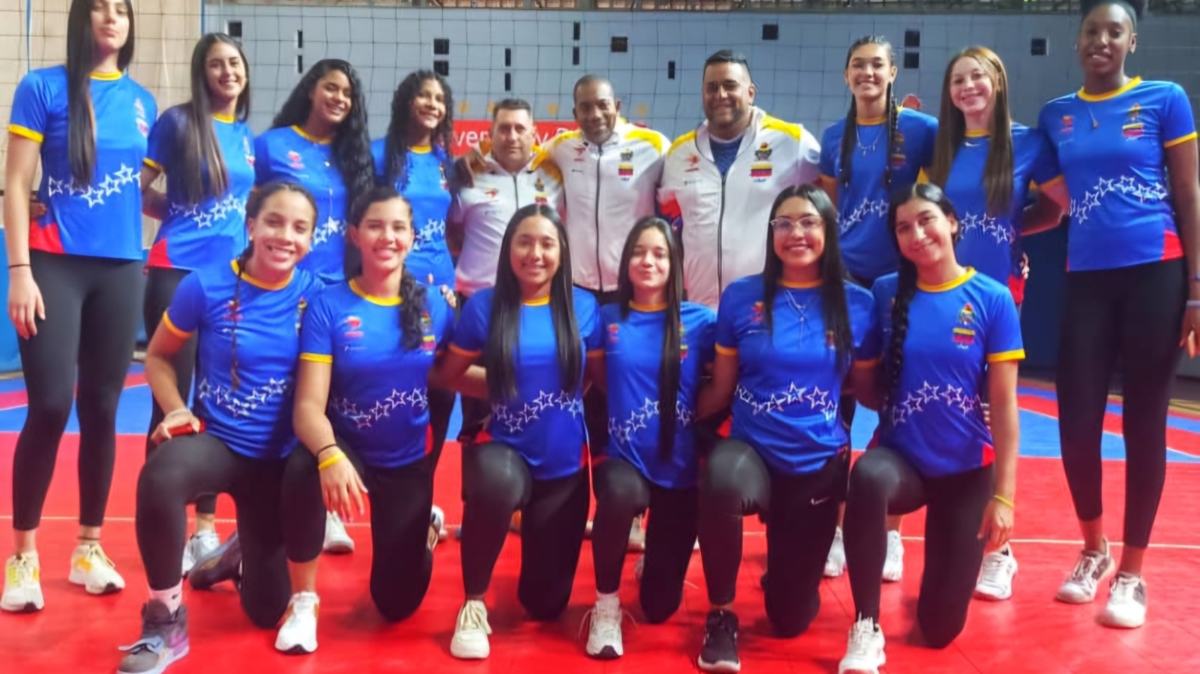 Voleibol