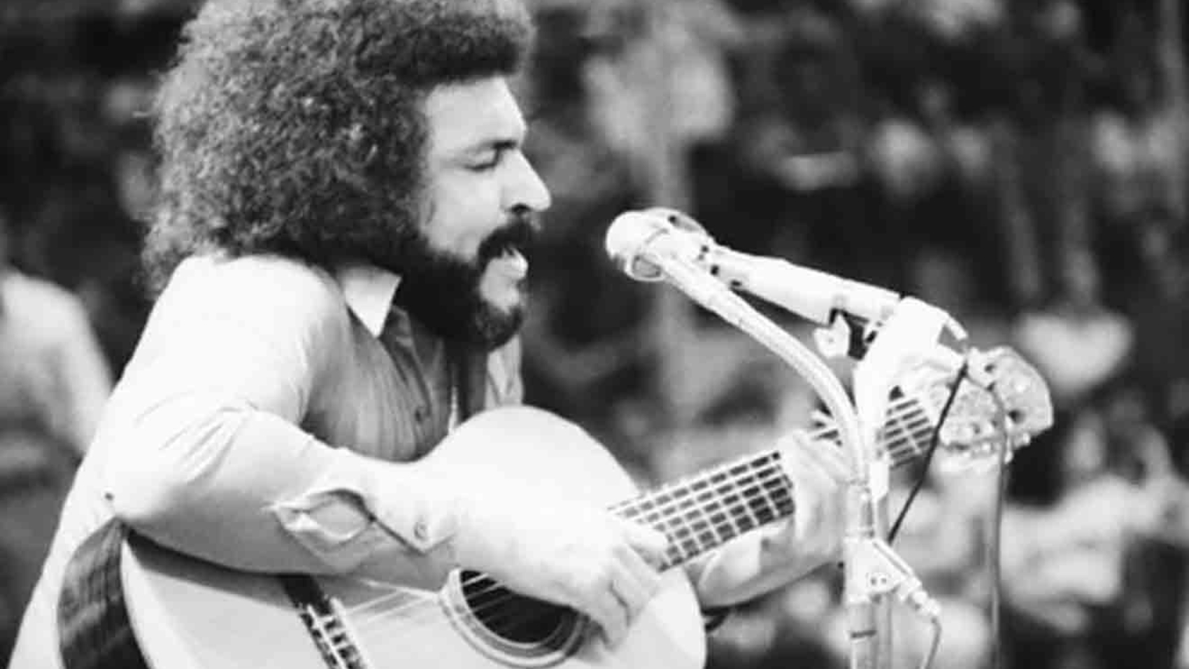 aLI PRIMERA