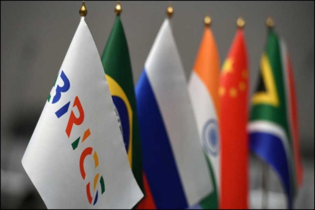 brics (6)