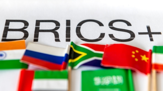 brics (7)