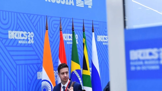 brics experiencia