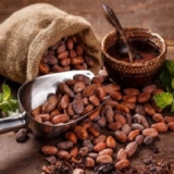 cacao-2