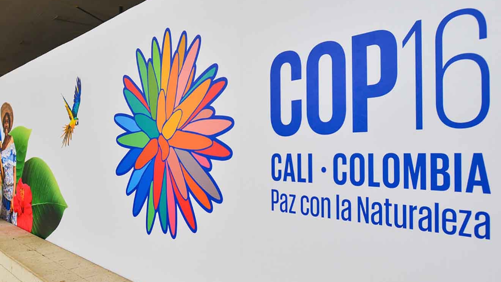 cop16