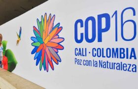 Colombia desarrolla la COP16 bajo el lema «Paz con la naturaleza»
