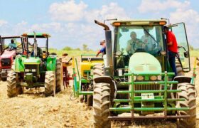 Inicia siembra de leguminosas para impulsar la producción en Guárico