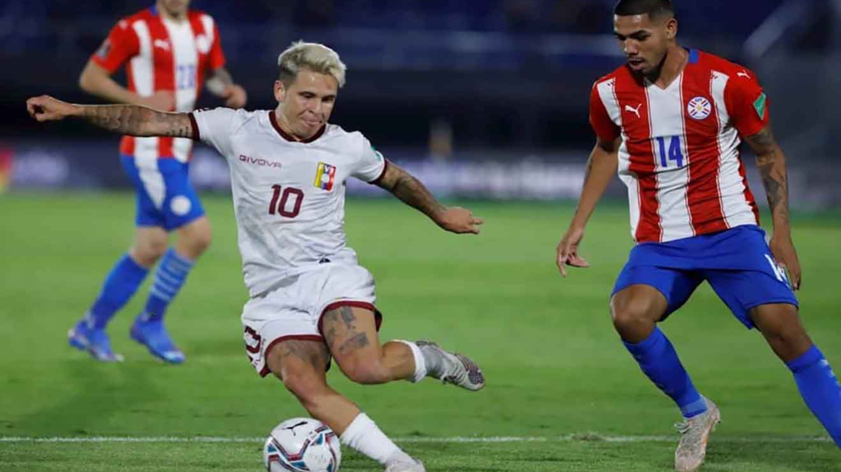 vinotinto