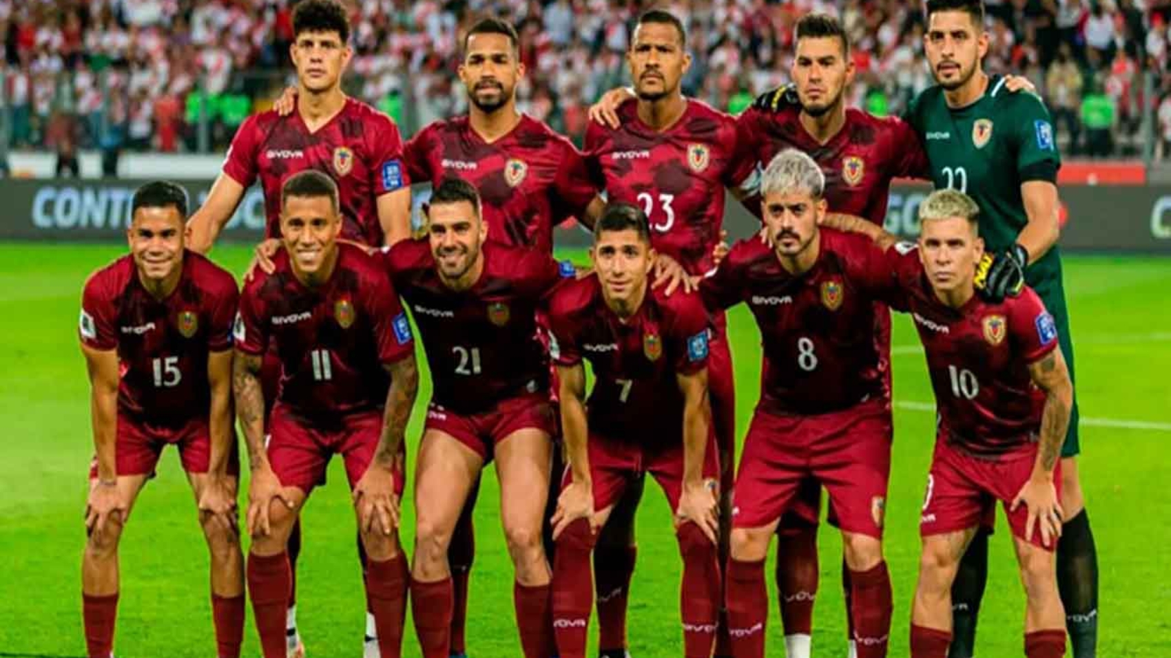 vinotinto