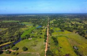 Trabajos de rehabilitación de vialidad agrícola en Apure beneficia a 361 familias
